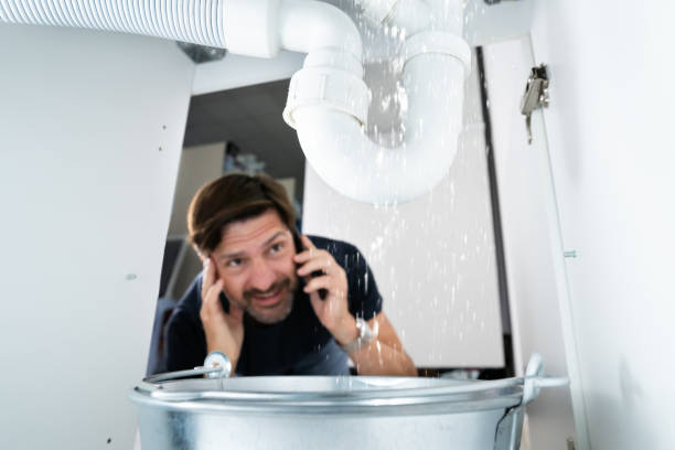Best Emergency Plumber  in Skyline, AL