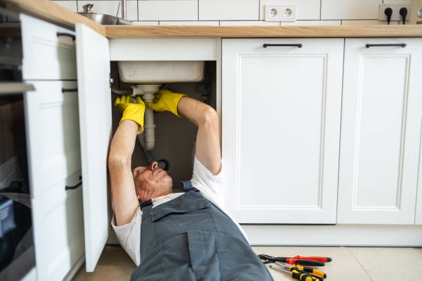 Best Shower Repair Services  in Skyline, AL
