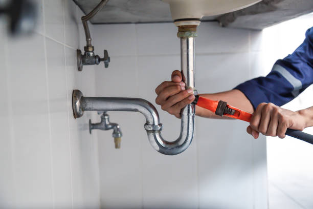 Best Commercial Plumbing Services  in Skyline, AL